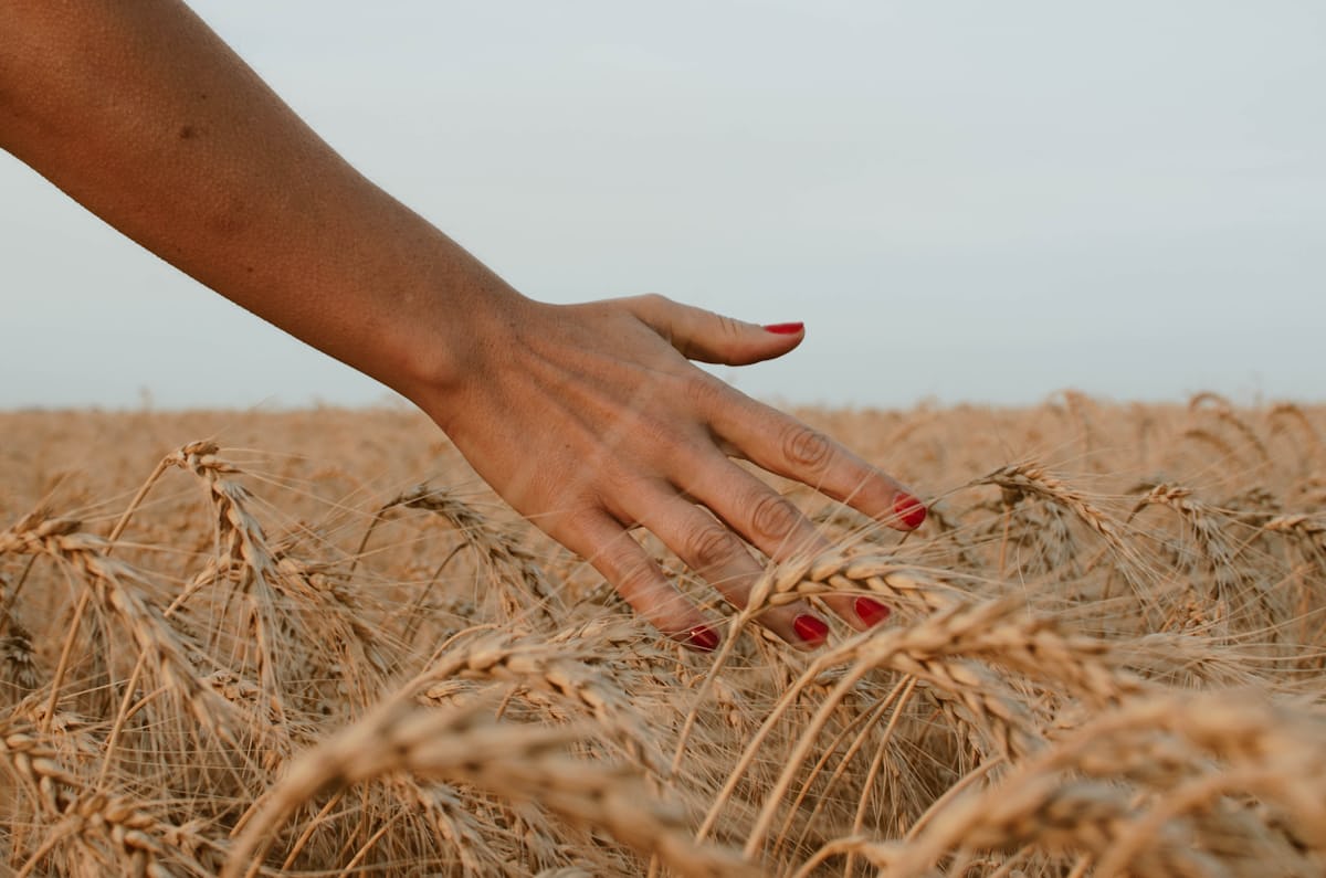 Quietforg Atelier nail salon service